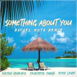 Something About You (Rafael Mota Remix)