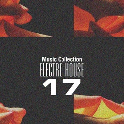 Music Collection. Electro House 17