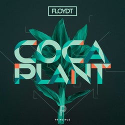 Coca Plant