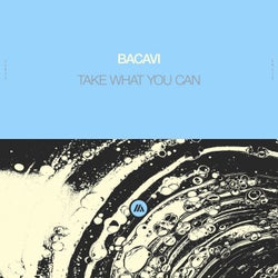Take What You Can (Extended Mix)