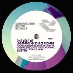 One Year of Underground Source Records
