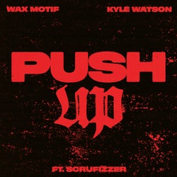 Push Up (feat. Scrufizzer) [Extended Mix]