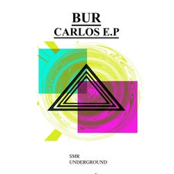Carlos E.P