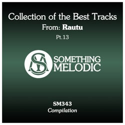 Collection of the Best Tracks From: Rautu, Pt. 13