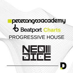 Pete Tong DJ Academy - Progressive House