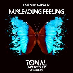 Misleading Feeling