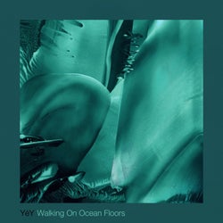 Walking On Ocean Floors