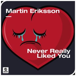 Never Really Liked You (Extended Mix)