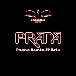 Prana Remix Vol.2のカバーアート