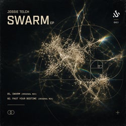 Cover für Swarm
