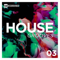House Grooves, Vol. 03