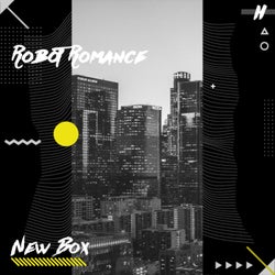 Robot Romance