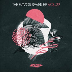 The Flavor Saver, Vol. 29