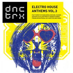 Electro House Anthems Vol.3