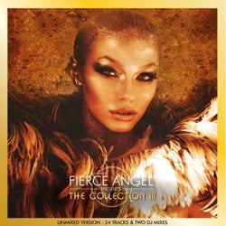 Fierce Angel Presents the Collection III (DJ Edition Unmixed)
