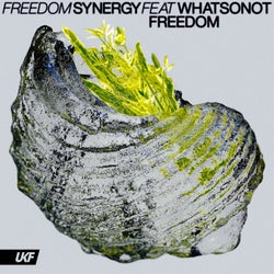 Freedom - ft. What So Not