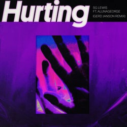 Hurting (Gerd Janson Remix)