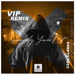 Somebody You're Not (VIP Remix)