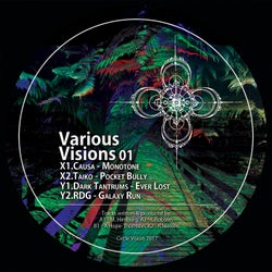 Various Visions 01