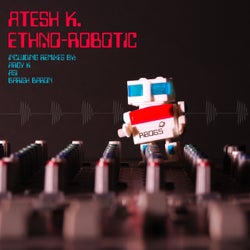 Ethno-Robotic
