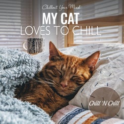 My Cat Loves to Chill: Chillout Your Mind