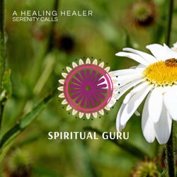 A Healing Healer