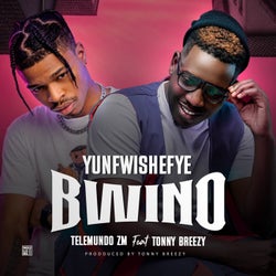 Yunfwishefwe Bwino