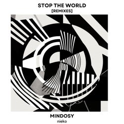 Stop The World - Remixes