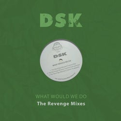 What Would We Do - The Revenge Mixes