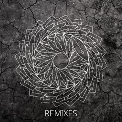 CONCEALMENT (Remixes)