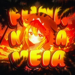 FUNK NA VEIA
