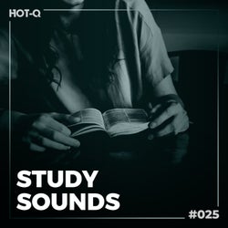 Study Sounds 025