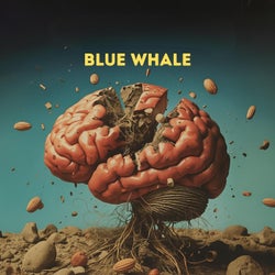 Blue whale
