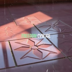 Freedom