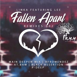 Fallen Apart Remixes 002