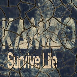 Survive Life