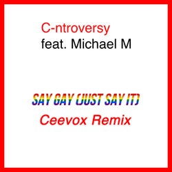 Say Gay (Just Say It) (Ceevox Remix)