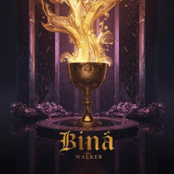Biná