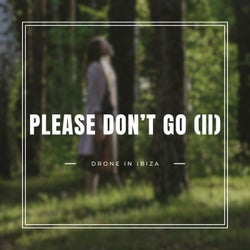 Please Don't Go (PART II)