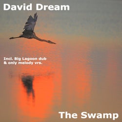 The Swamp (Frogs In Love Progressive Mix)