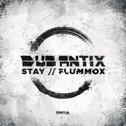Stay/Flummox