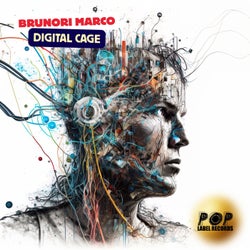 Digital Cage