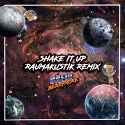 Shake It Up (Raumakustik Reflected Mix)