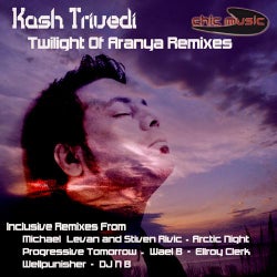 Twiligth Of Aranya Remixes