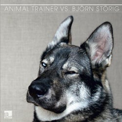 AnimalTrainer vs. Bjorn Storig