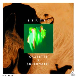 Static (Cazzette x Supernatet Remix Extended)
