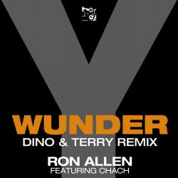 Wunder Y (Dino & Terry REMIX)