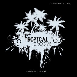 Tropical Groove