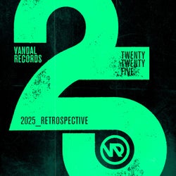Vandal 2025 Retrospective