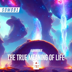 The True Meaning Of Life